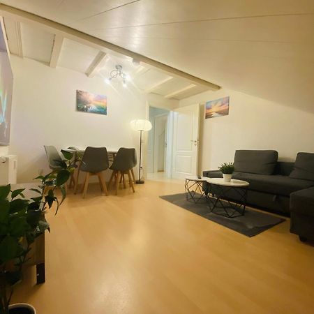 Deluxe Business Suite Mit Netflix Premium & Parkplatz, Zentral Zu Audi & Schwarz Gruppe With 2 Bedrooms Bad Friedrichshall Ngoại thất bức ảnh